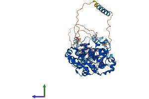 AlphaFold protein structure predicition of Human Recombinant CHST15 Protein, UniprotID Q7LFX5