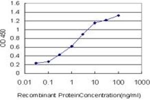 Detection limit for recombinant GST tagged ULK2 is approximately 0. (ULK2 抗体  (AA 743-843))