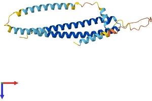 CHMP2A Protein (AA 1-222) (His tag)