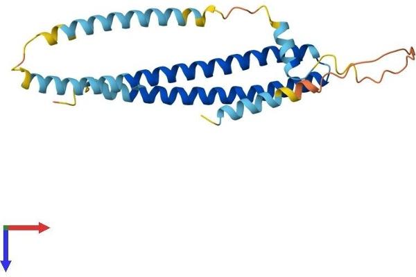 CHMP2A Protein (AA 1-222) (His tag)