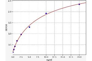 Typical standard curve (SORBS1 ELISA 试剂盒)