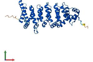 Protein Structure (PS) image for Calcium Binding Protein 39 (CAB39) (AA 1-341) protein (His tag) (ABIN7556902)