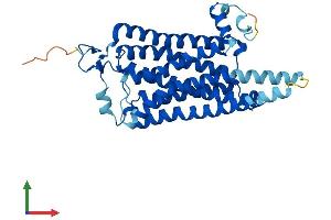 Protein Structure (PS) image for Trace Amine Associated Receptor 6 (TAAR6) (AA 1-345) protein (His tag) (ABIN7544135)