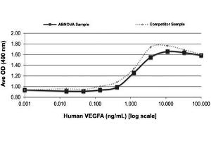 Serial dilutions of human VEGFA (starting at 100 ng/mL) were added to HUVEC cells cultured without EGF. (VEGFA 蛋白)