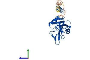 Protein Structure (PS) image for C-Type Lectin Domain Family 5, Member A (CLEC5A) (AA 1-188) protein (His tag) (ABIN7546591)