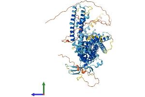 Protein Structure (PS) image for Transient Receptor Potential Cation Channel, Subfamily V, Member 3 (TRPV3) (AA 1-791) protein (His tag) (ABIN7564664)