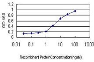 Detection limit for recombinant GST tagged SMAD5 is approximately 0. (SMAD5 抗体  (AA 105-182))