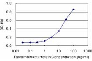 Sandwich ELISA detection sensitivity ranging from 1 ng/mL to 100 ng/mL.