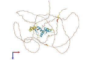 SP8 Protein (AA 1-486) (His tag)
