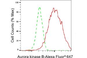 Flow cytometric analysis of Aurora kinase B expression in HAP-1 cells using Aurora kinase B antibody (ABIN7797704), 1:2,000). (Recombinant Aurora Kinase B 抗体)