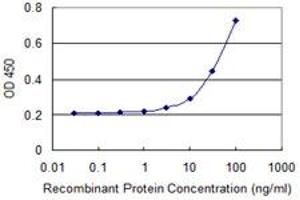 Detection limit for recombinant GST tagged CDC23 is 3 ng/ml as a capture antibody. (CDC23 抗体  (AA 491-591))
