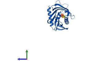 Protein Structure (PS) image for StAR-Related Lipid Transfer (START) Domain Containing 6 (STARD6) (AA 1-233) protein (His tag) (ABIN7556539)