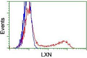 Flow Cytometry (FACS) image for anti-Latexin (LXN) antibody (ABIN1499099) (Latexin 抗体)