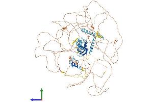 AlphaFold protein structure predicition of Mouse Recombinant Rbm20 Protein, UniprotID Q3UQS8