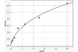 Calpain, Small Subunit 1 (CAPNS1) ELISA Kit