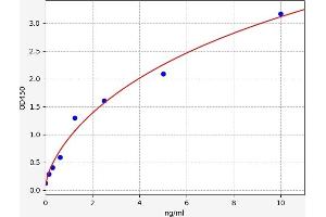 Typical standard curve (Calpain S1 ELISA 试剂盒)