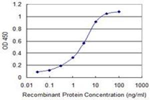 Detection limit for recombinant GST tagged FXN is 0. (Frataxin 抗体  (AA 91-200))