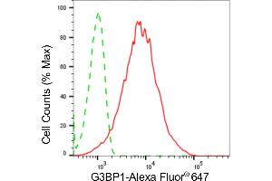 Flow cytometric analysis of G3BP1 expression in HepG2 cells using G3BP1 antibody (ABIN7798816), 1:2,000). (Recombinant G3BP1 抗体)