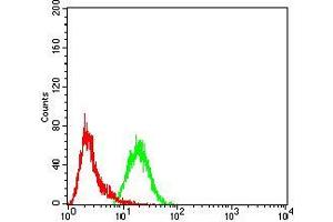 Flow cytometric analysis of A431 cells using CBX3 mouse mAb (green) and negative control (red). (CBX3 抗体  (AA 1-183))