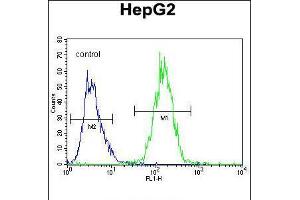 Flow cytometric analysis of HepG2 cells (right histogram) compared to a negative control cell (left histogram). (RDH13 抗体  (AA 166-194))