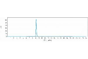 The purity of Anti-GPR73 / PROKR1 Reference Antibody (Regeneron patent anti-PROKR1) is more than 95 % , determined by SEC-HPLC. (Recombinant Prokineticin Receptor 1 抗体)