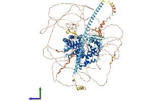 AlphaFold protein structure predicition of Mouse Recombinant Syngap1 Protein, UniprotID F6SEU4