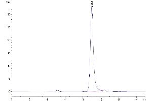 Size-exclusion chromatography-High Pressure Liquid Chromatography (SEC-HPLC) image for Plasminogen Activator, Urokinase (PLAU) (AA 21-431) protein (His-Avi Tag,Biotin) (ABIN7275460)