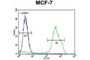 RNF19B Antibody (Center) flow cytometric analysis of MCF-7 cells (right histogram) compared to a negative control cell (left histogram).