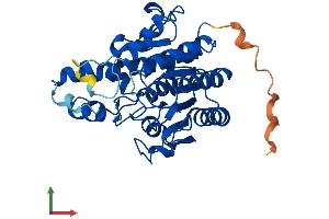 Protein Structure (PS) image for Histone Deacetylase 11 (HDAC11) (AA 1-347) protein (His tag) (ABIN7548270)