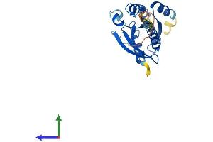 Protein Structure (PS) image for RAB38, Member RAS Oncogene Family (RAB38) (AA 1-211) protein (His tag) (ABIN7551206)