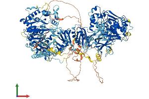 Protein Structure (PS) image for DIP2 Disco-Interacting Protein 2 Homolog A (DIP2A) (AA 1-1523) protein (His tag) (ABIN7564447)