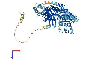 ABCF2 Protein (AA 1-623) (His tag)