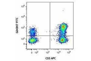 Flow Cytometry (FACS) image for anti-Chemokine (C-C Motif) Receptor 7 (CCR7) antibody (FITC) (ABIN2661555) (CCR7 抗体  (FITC))