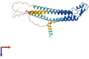 GJD2 Protein (AA 1-321) (His tag)