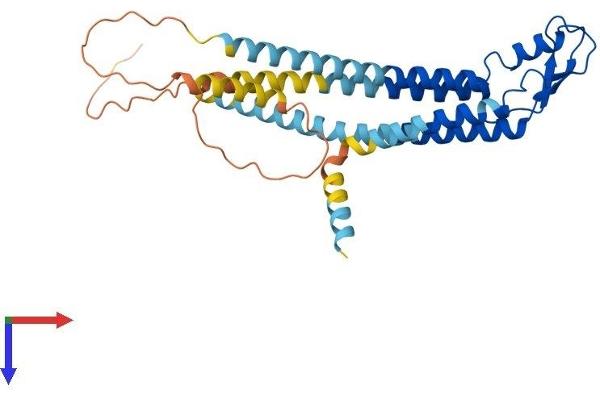 GJD2 Protein (AA 1-321) (His tag)