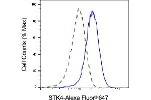 Validation of STK4 knockdown using flow cytometry. (Recombinant STK4 抗体)
