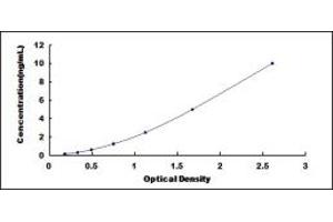 Typical standard curve (EPH Receptor B3 ELISA 试剂盒)