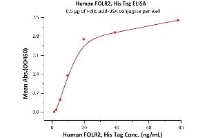 Immobilized Folic acid-BSA conjugate at 5 μg/mL (100 μL/well) can bind Human FOLR2, His Tag (ABIN2181120,ABIN2181119) with a linear range of 2-20 ng/mL (QC tested). (FOLR2 Protein (AA 17-228) (His tag))