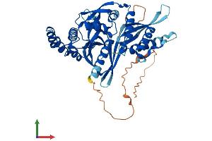 Protein Structure (PS) image for Sorting Nexin 31 (SNX31) (AA 1-439) protein (His tag) (ABIN7558018)