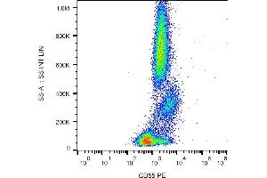 Flow cytometry analysis (surface staining) of human peripheral blood cells with anti-CD55 (MEM-118) PE. (CD55 抗体  (PE))