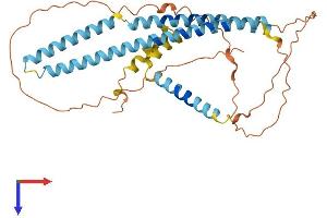AlphaFold protein structure predicition of Mouse Recombinant Smco2 Protein, UniprotID Q9DA21 (SMCO2 Protein (AA 1-347) (His tag))