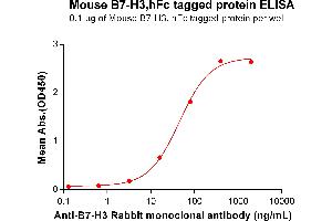ELISA image for CD276 (CD276) (AA 29-244) protein (Fc Tag) (ABIN7092853)