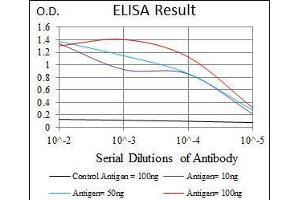Black line: Control Antigen (100 ng), Purple line: Antigen(10 ng), Blue line: Antigen (50 ng), Red line: Antigen (100 ng), (RAP1A 抗体)