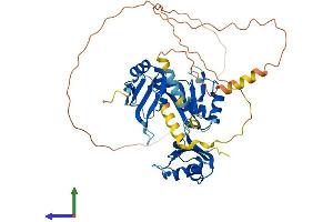 Protein Structure (PS) image for CUGBP, Elav-Like Family Member 3 (CELF3) (AA 1-465) protein (His tag) (ABIN7553232)