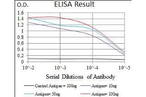 Black line: Control Antigen (100 ng), Purple line: Antigen(10 ng), Blue line: Antigen (50 ng), Red line: Antigen (100 ng), (MRPL42 抗体  (AA 142-203))