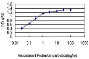 Detection limit for recombinant GST tagged JPH1 is approximately 0. (Junctophilin 1 抗体  (AA 501-579))