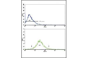 Flow cytometric analysis of HepG2 cells using MMP3 Antibody (bottom histogram) compared to a negative control cell (top histogram). (MMP3 抗体  (AA 298-327))