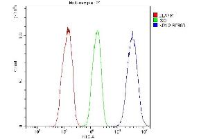 Flow Cytometry analysis of HepG2 cells using anti-NR1I2 antibody (ABIN7602331).
