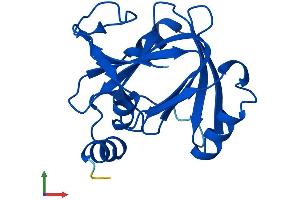 Protein Structure (PS) image for Acireductone Dioxygenase 1 (ADI1) (AA 1-179) protein (His tag) (ABIN7560321)