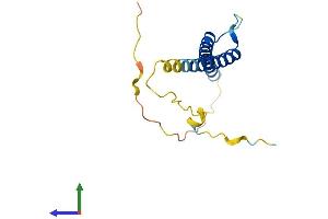 Protein Structure (PS) image for Atonal Homolog 7 (ATOH7) (AA 1-149) protein (His tag) (ABIN7556425)